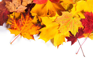 Naklejka na ściany i meble Autumn fall leaves background seasonal design concept