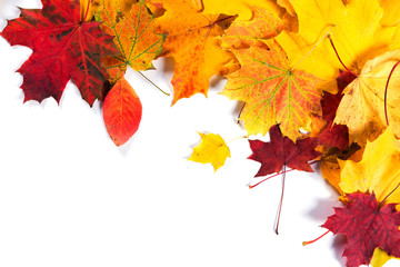 Autumn fall leaves background seasonal design concept