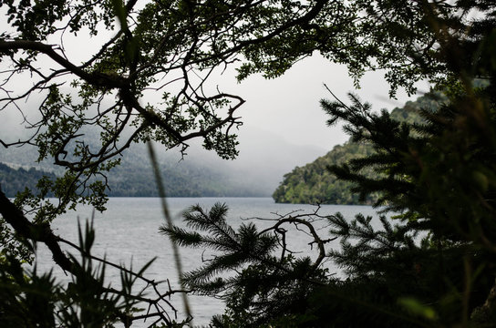 Espiando el lago