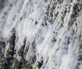 White  salt formation near a salted spring in Parajd, Romania