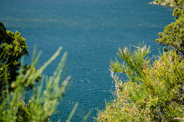 Agua