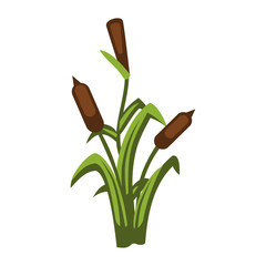 Cartoon vector bulrush plant