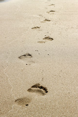 footprints in the sand on the beach