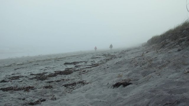 A Beach in Maine on a foggy day, people walking in the distance.