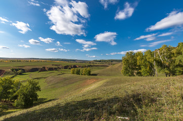 autumn forest, forest road