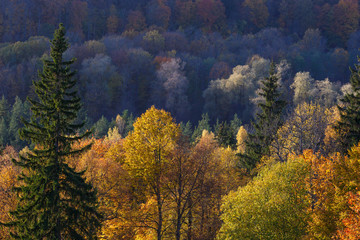 Majestic landscape with autumn forest hills. Sigulda, Latvia, Europe