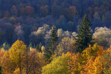 Fototapeta premium Majestic landscape with autumn forest hills. Sigulda, Latvia, Europe