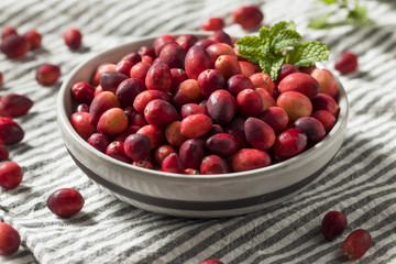 Raw Red Organic Cranberries