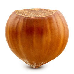Hazelnut isolated Clipping Path