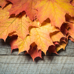 Colorful autumn leaves on wooden board. Fall still life, copy space.