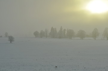 Grunwald zimą