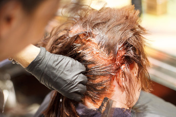 Proffessional hairdresser dyeing hair of her client