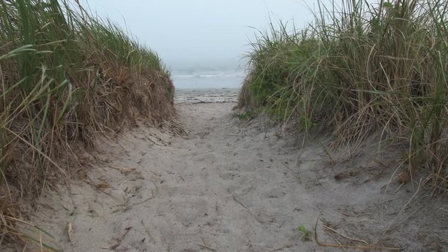 Low angle on a sandy path to an Atlantic ocean beach on an overcast day. the path flanked by sea grass moving in the wind.