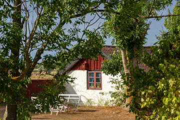 Fototapeta na wymiar Traditional old cottage on the swedish island of Oland, Sweden, on a warm summer day.