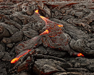 A lava flow emerges from an earth crevice and flows in a black volcanic landscape, glowing magma, first daylight - Location: Hawaii, Big Island, volcano "Kilauea"