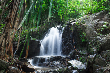 Naklejka na ściany i meble Ton Sai waterfall,in the forest ,Island Phuket , Thailand