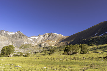 Naklejka premium Camp at Alger Lakes