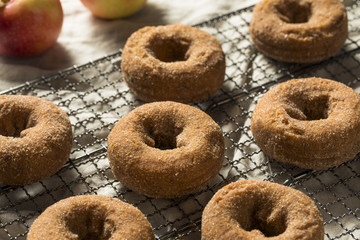 Homemade Apple Cider Donuts