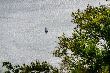 Single Sailboat behind green leaves at lake constance