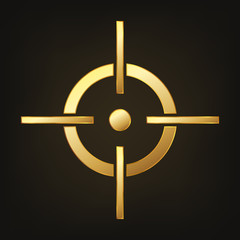 Target icon. Vector illustration. Aim icon.