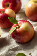 Raw Organic Red Apples