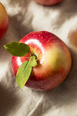 Raw Organic Red Apples