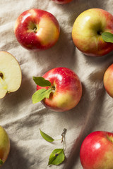 Raw Organic Red Apples