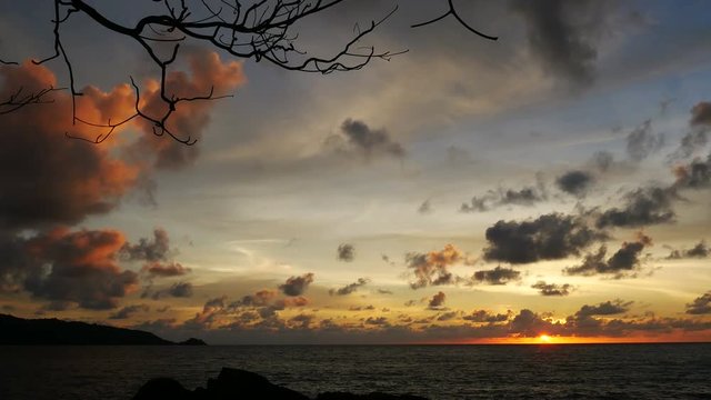 sunset yellow gold beam light cloudy sky  into the sea with silhouette dry branch tree