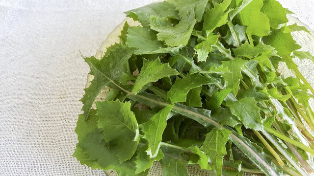 Salada de Serralha