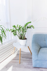 Modern decor in the Scandinavian style