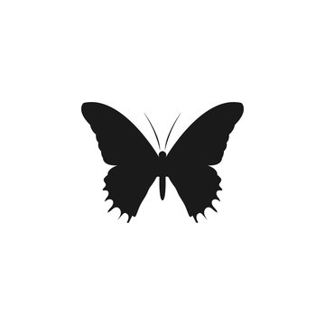 Butterfly silhouette logo icon design template vector