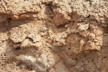 Trockene Erde