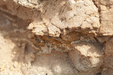 Trockene Erde