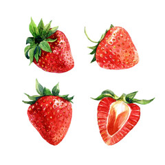 Set of watercolor strawberries, whole berries and cut. - 224775475