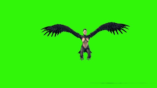 Harpy Mythological Monster Jump Flies Green Screen 3D Rendering Animation
