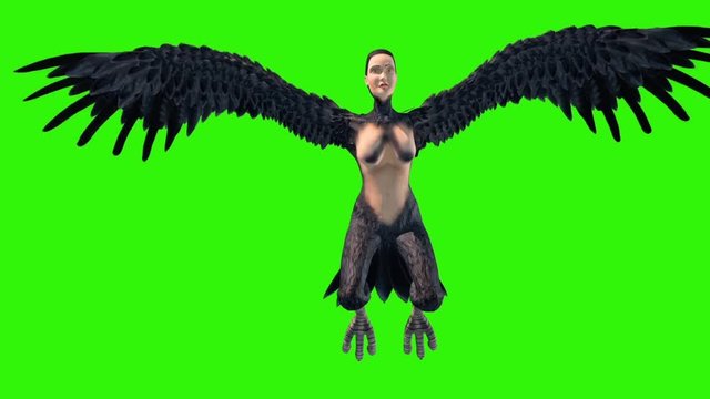 Harpy Mythological Monster Jump Flies Front Green Screen 3D Rendering Animation
