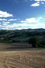 view of countryside,landscape,white clouds,blue sky,horizon,field,agriculture,panorama,mountains