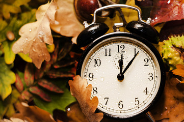 antique clock lie on the background of autumn leaves