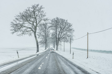 Winterliche Allee