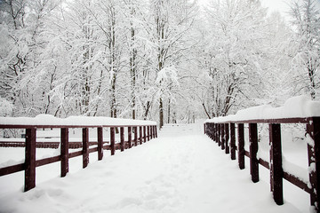 cold winter wooden bridge in the forest