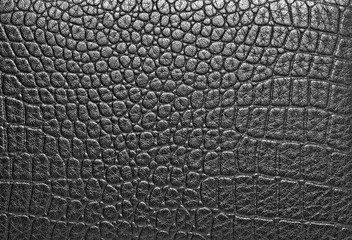 Texture of crocodile skin, can use as background