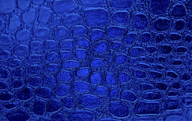 Blue texture of alligator skin, reptile.