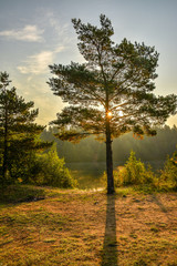 Sunny autumn day at the edge of the forest. Early autumn.