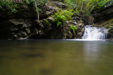 Fototapeta premium Pennsylvania Nature Photo, Waterfall Flowing Through Canyon, Or Gorge On An Early Autumn Afternoon.
