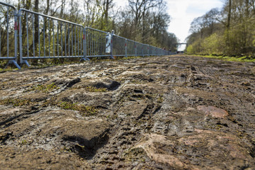 Pave d'Arenberg