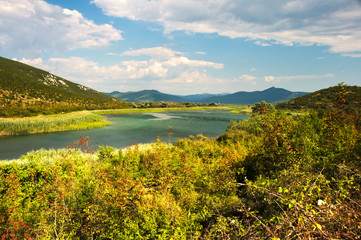Hutovo Blato - a nature reserve and bird reserve located in the south of Bosnia and Herzegovina