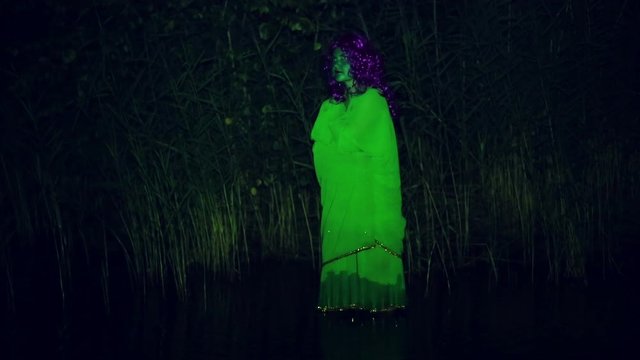 The green witch walks along the shore of the lake at night.