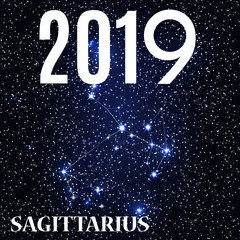 Symbol: Sagittarius Zodiac Sign with the New Year and Christmas 2019. Vector Illustration