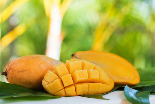 Fresh sweet juicy mango fruit cuts outdoors