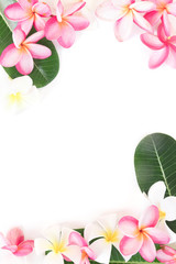 Tropical floral modern border from palm leaves and frangipani plumeria flower